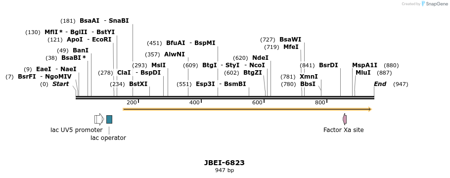 167737_map