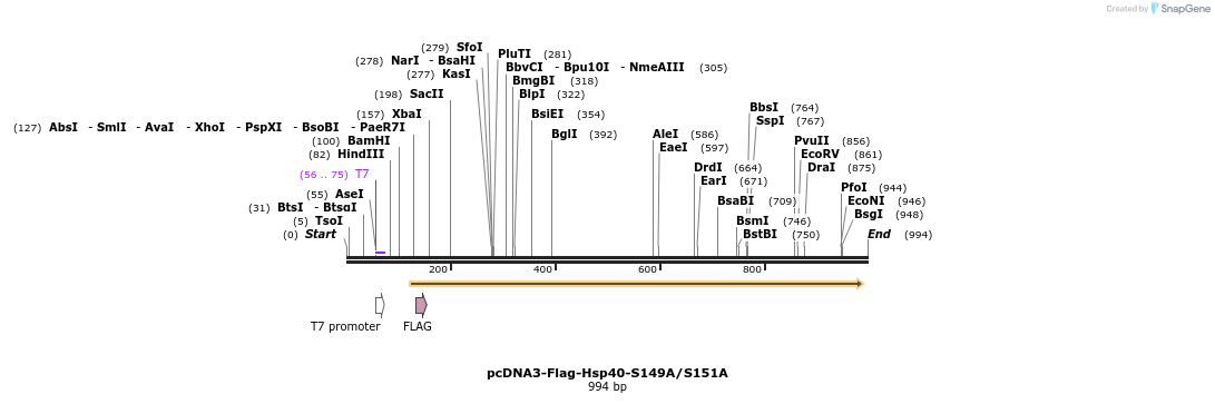 167740_map
