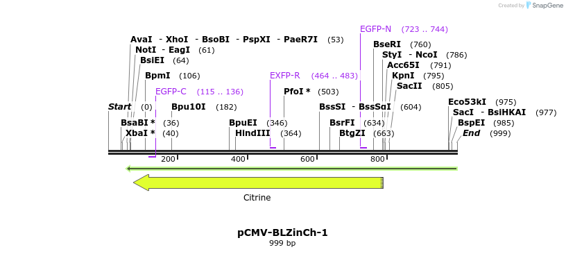 167747_map