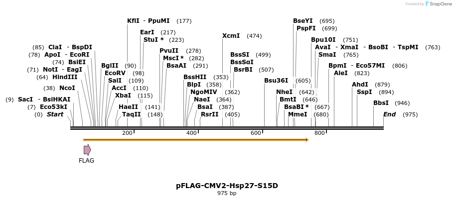 167748_map