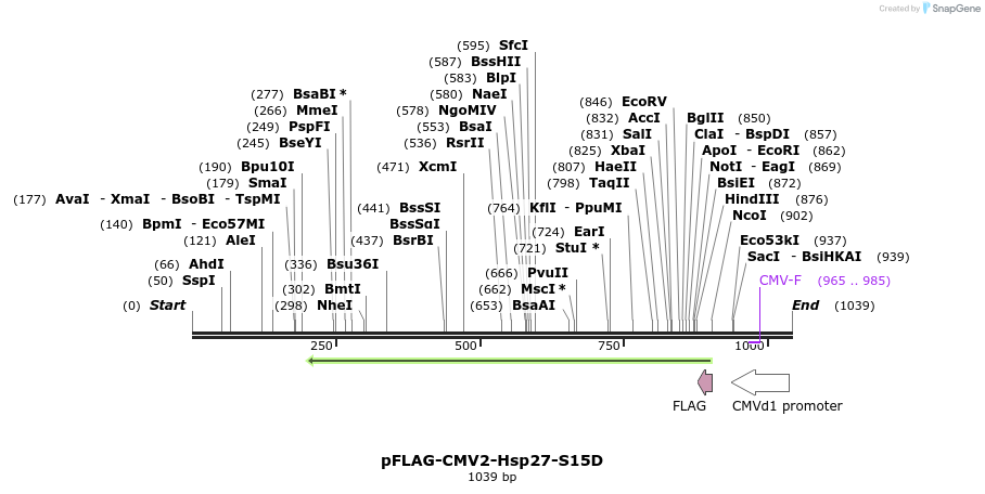 167749_map