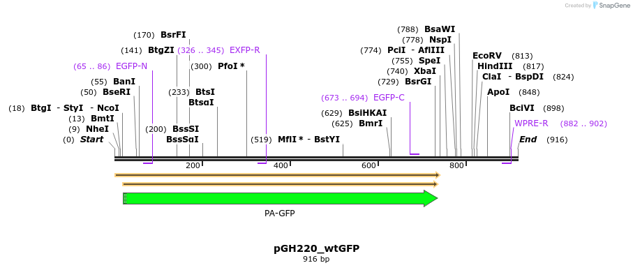 167756_map