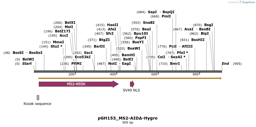 167760_map