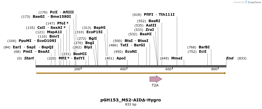 167761_map