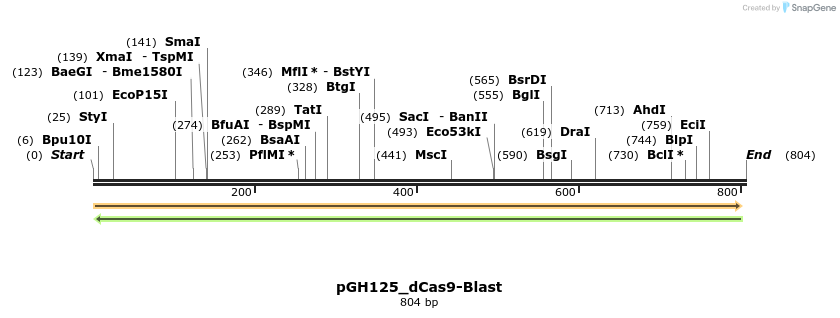 167765_map