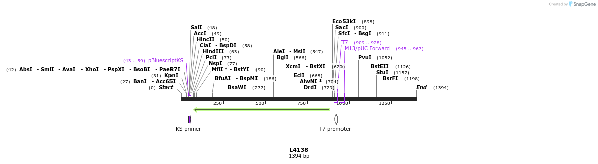 16778_map