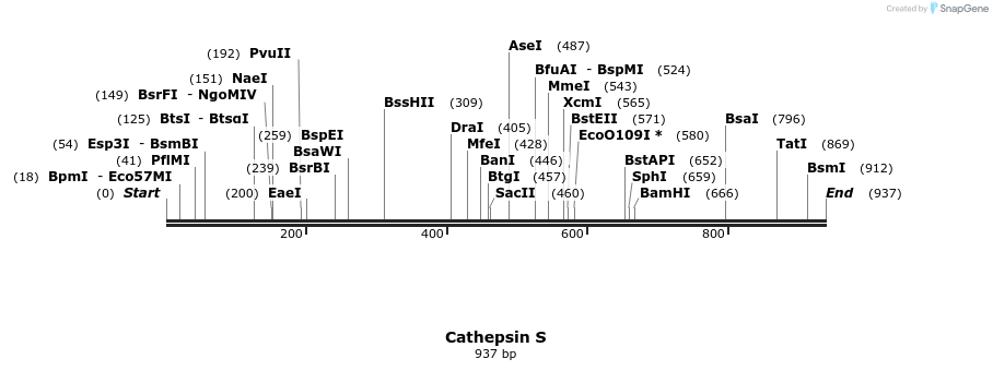 167788_map