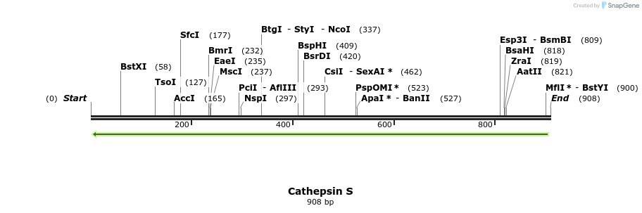 167791_map