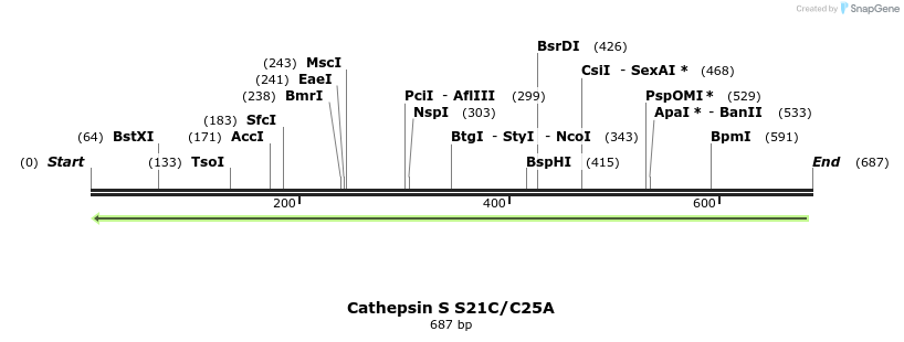 167796_map