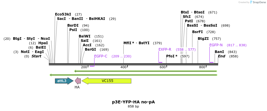 167805_map