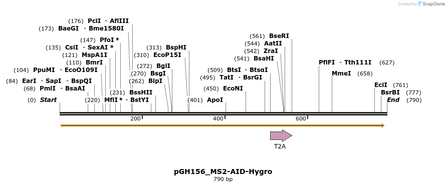 167806_map