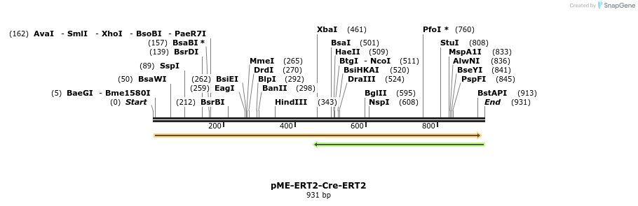 167811_map