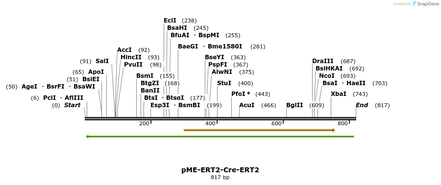 167812_map