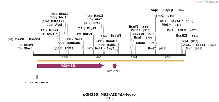 167813_map