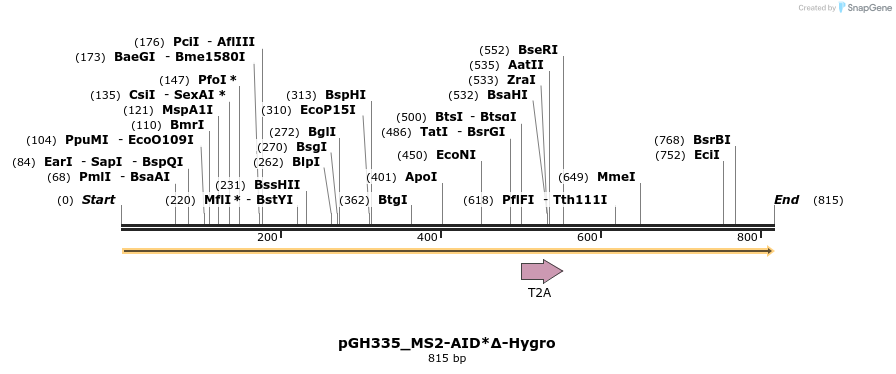 167814_map