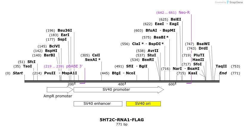 167818_map
