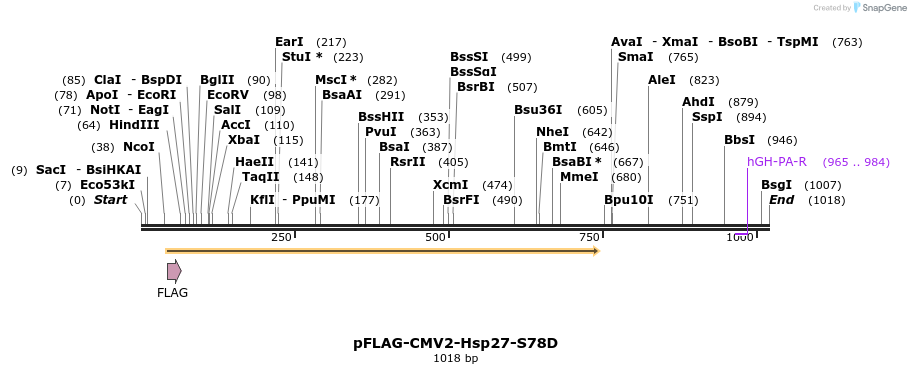 167820_map