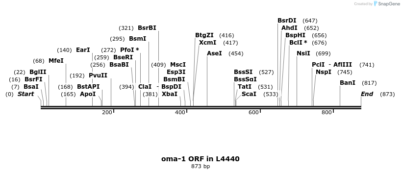 167822_map