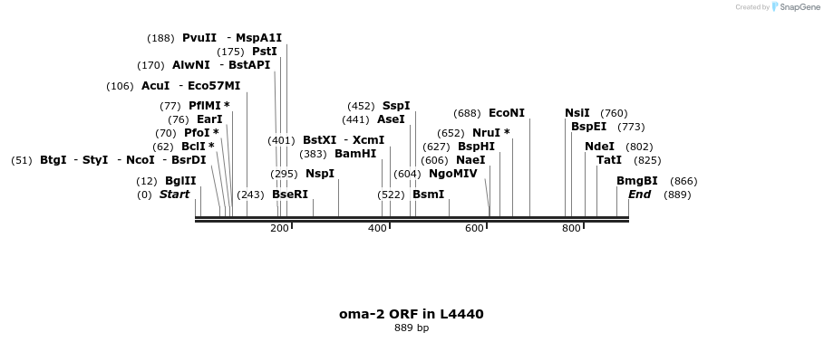 167834_map