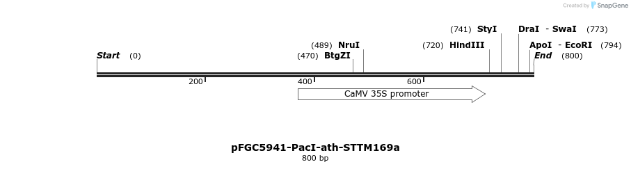 167836_map