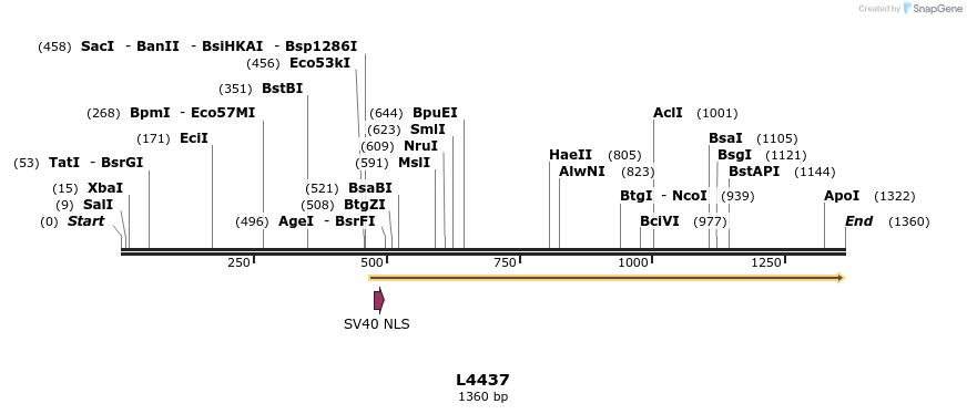 16784_map