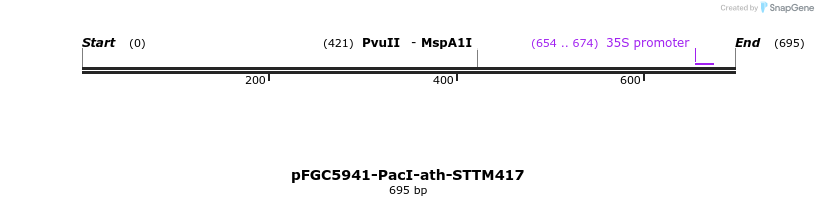 167862_map
