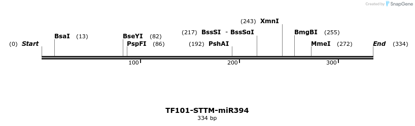 167867_map