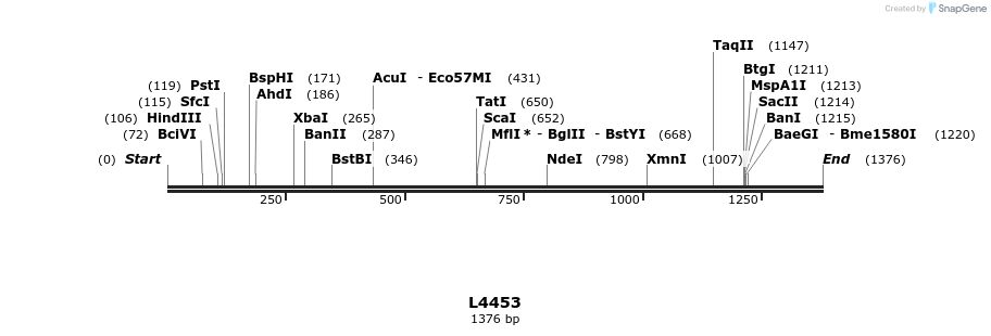 16787_map