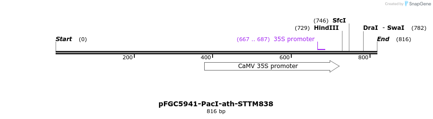 167874_map