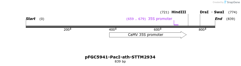 167880_map