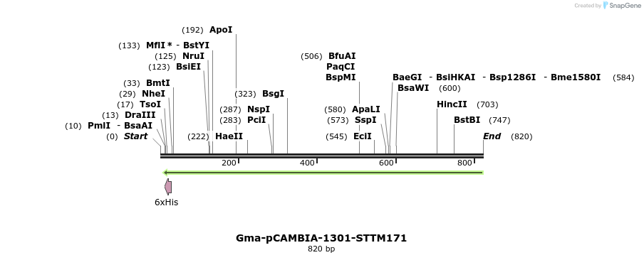 167886_map