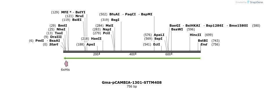 167891_map