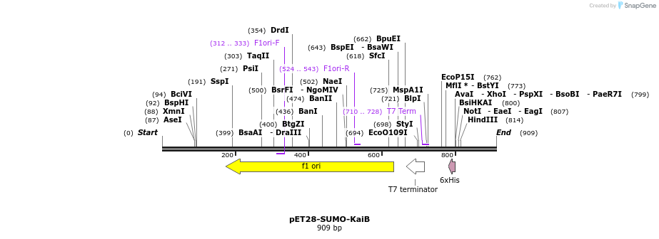 167904_map