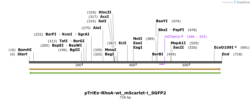 167906_map
