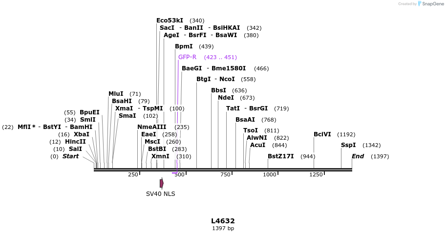 16793_map