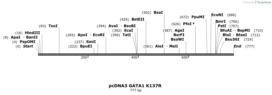167930_map
