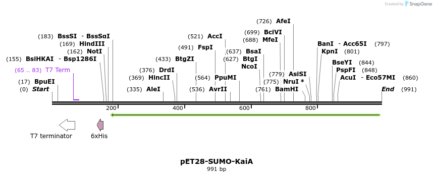 167931_map