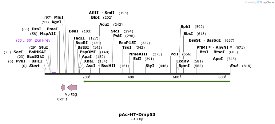 167956_map