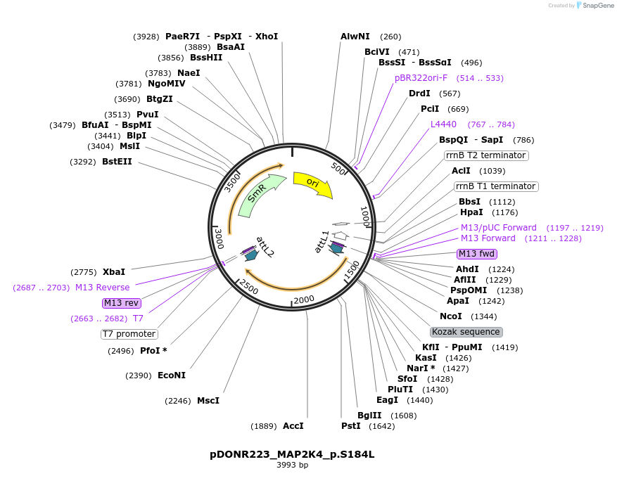 167969_map