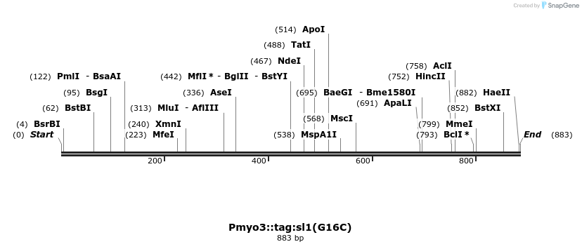 167970_map