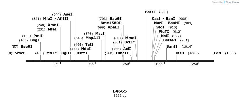 16799_map