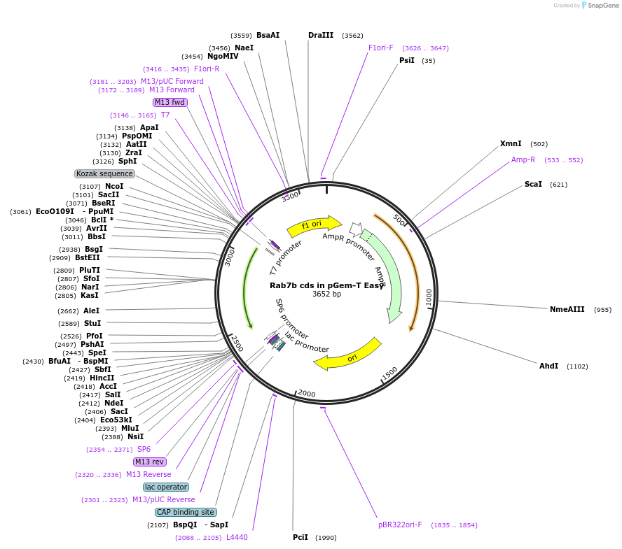 168006_map