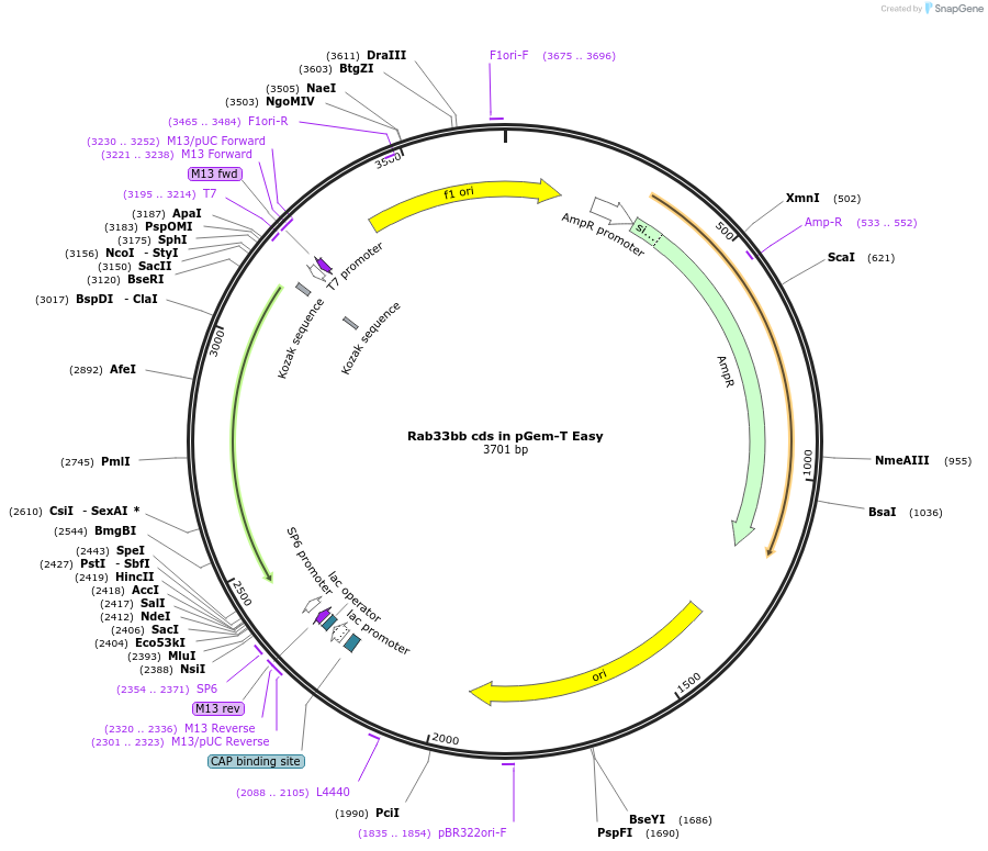 168007_map