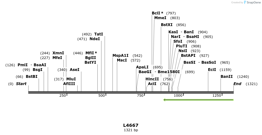 16801_map
