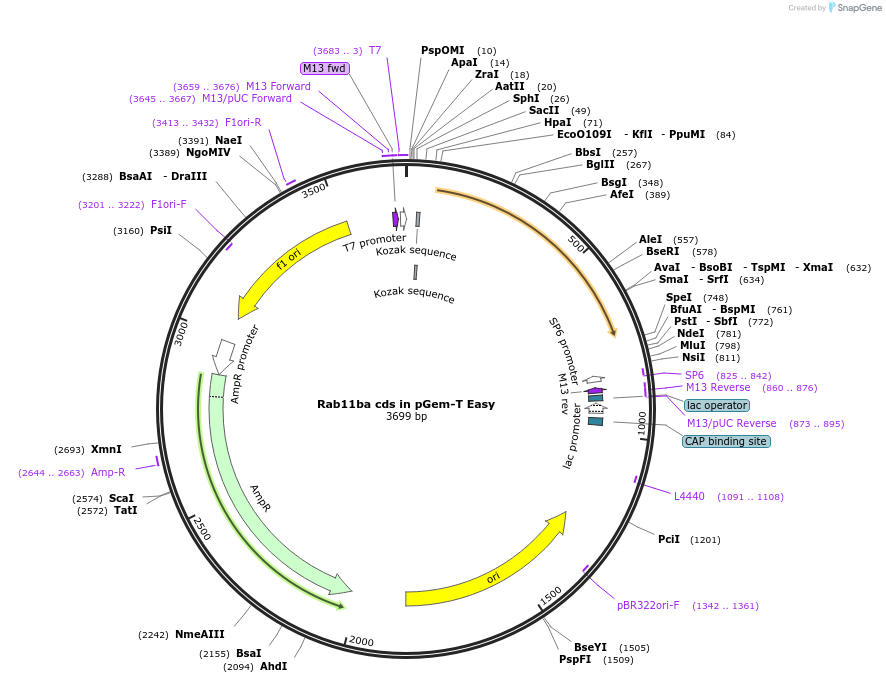 168014_map