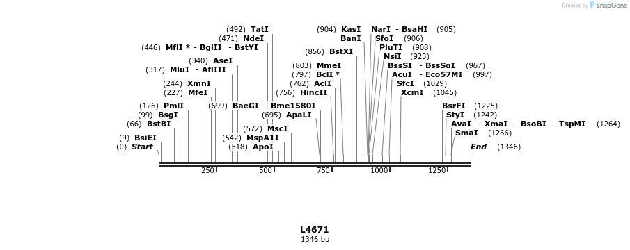 16802_map