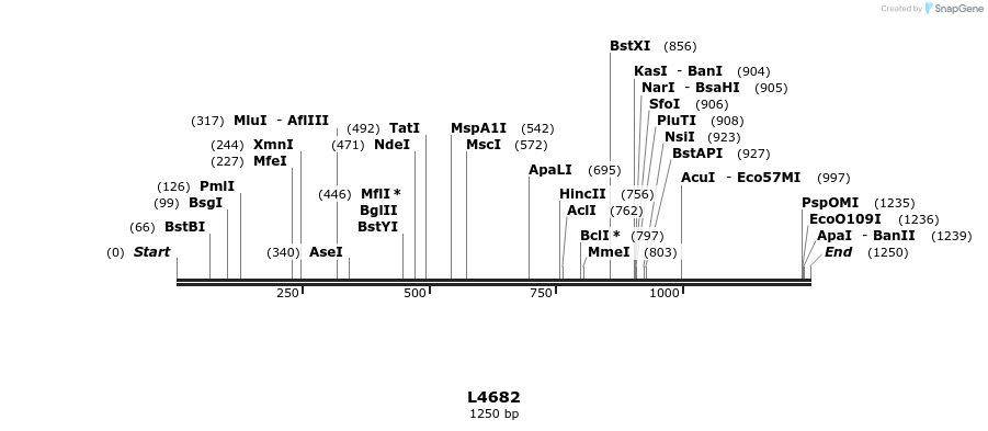 16803_map