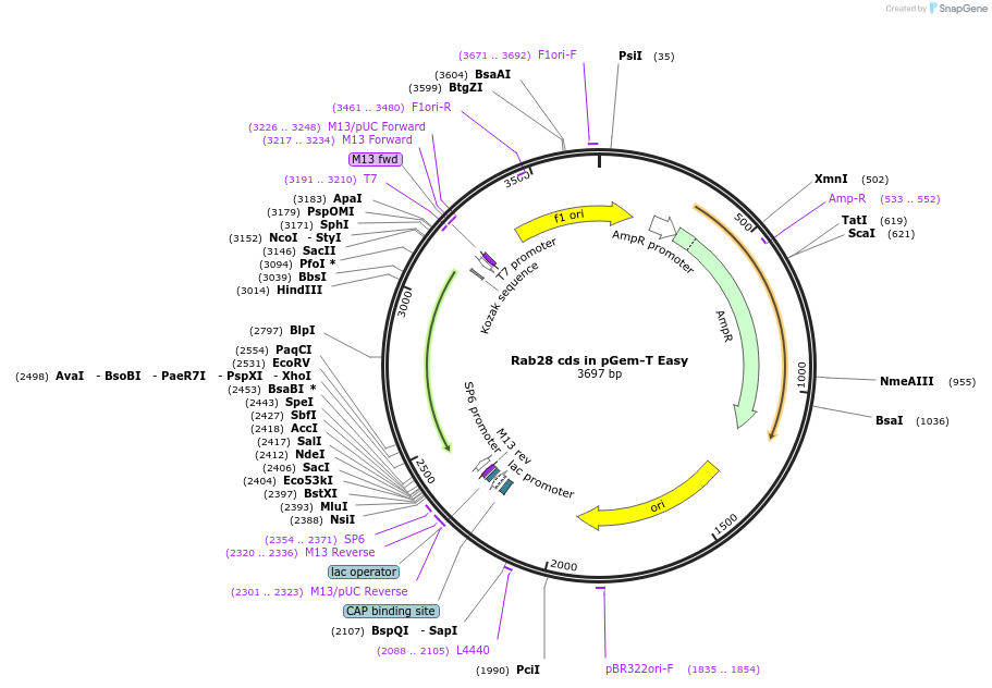 168030_map