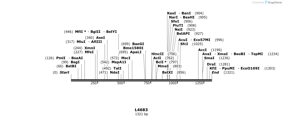 16804_map