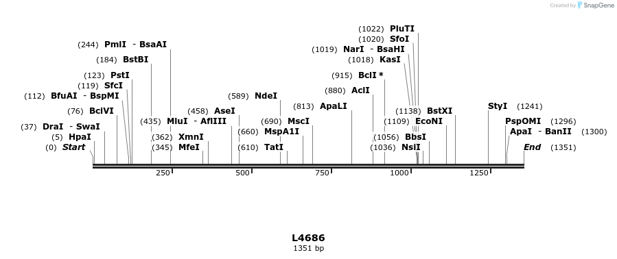 16805_map